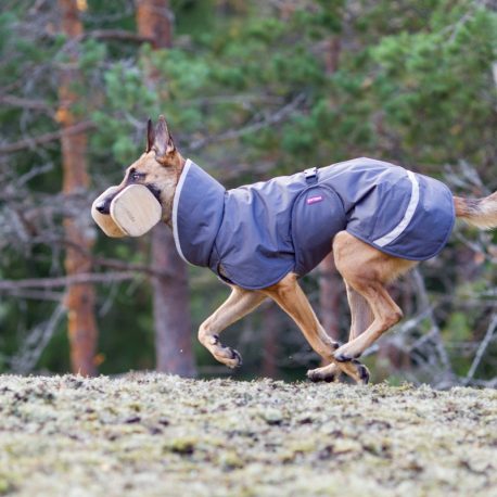 peruspomppaHarmaa