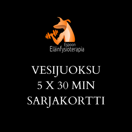 VESIJUOKSU 5 x 30 MIN SARJAKORTTI