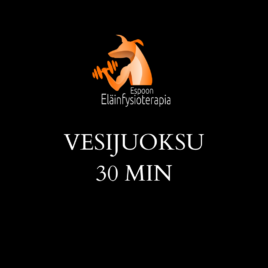 Vesijuoksu, 1 käyntikerta 30 min