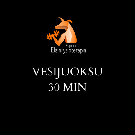 VESIJUOKSU 5 x 30 MIN SARJAKORTTI (1)