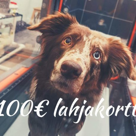 lahjakortti100