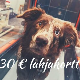 Eläinfysio.fi lahjakortti palveluihin tai verkkokauppaan, 30€