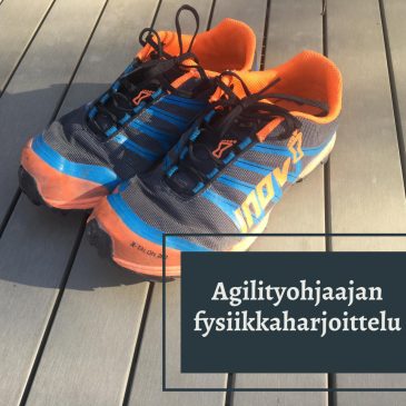 Agilityohjaajan fysiikkaharjoittelu