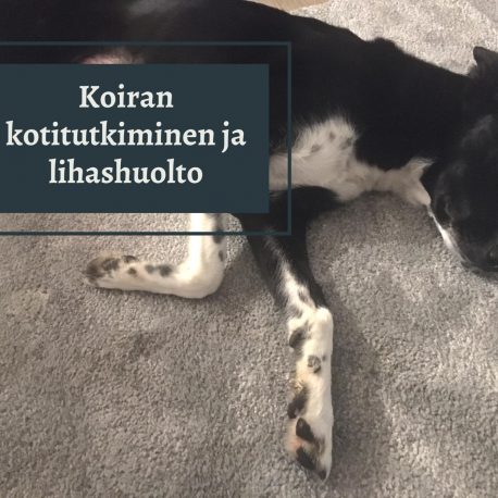 kotitutkiminentuotekuva