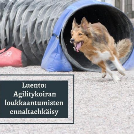 loukkaantumistenennaltaehkäisy_tuotekuva