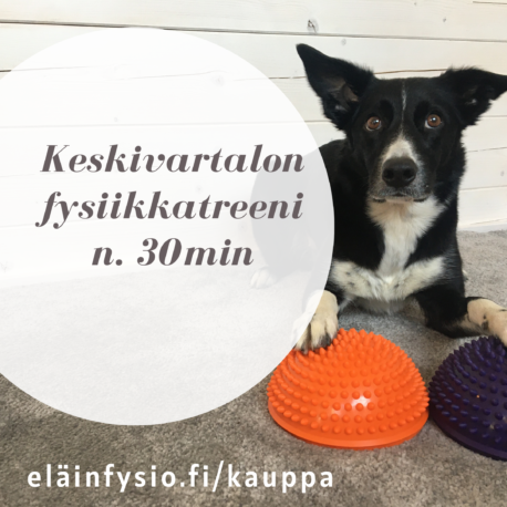 eläinfysio.fi_kauppa (1)