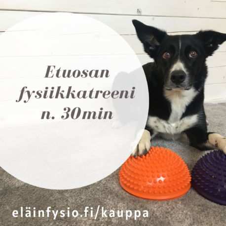 eläinfysio.fi_kauppa