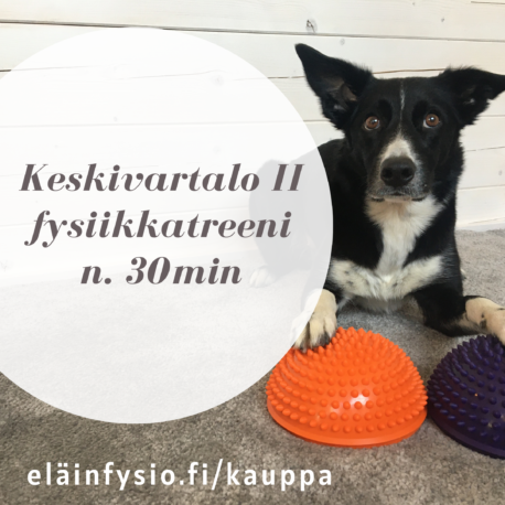 eläinfysio.fi_kauppa (3)