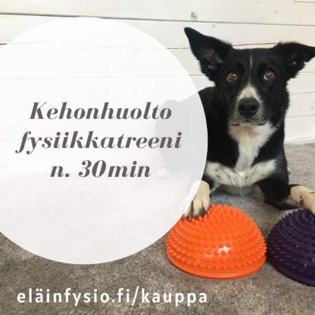 eläinfysio.fi_kauppa (4)